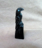 Native American Zuni Jet Raven on Rock Fetish Carving by Rochelle Quam  C4217