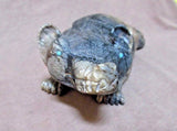 Native Zuni Extra Large Picasso Marble Badger Fetish by Tony Mackel  - C2341