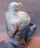 Zuni Amazing LARGE Picasso Marble Eagle w/ Chicks by Derrick Kaamasee C0267