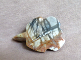 Native Zuni Picasso Marble Turtle Fetish Carving by Kenny Chavez - C4593