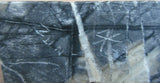 Zuni Amazing Picasso Marble Skunk by Master Carver Derrick Kaamasee C2769