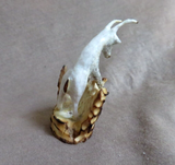 Native Zuni Stunning Antler Elk Fetish Carving by Ruben Najera C4554