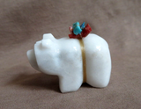 Native Zuni White Marble Protective Bear Fetish Carving by Daryl Shack - C4637