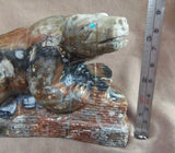 Zuni HUGE Museum Quality Picasso Marble Bear on Pueblo by Herbert Him Sr C-01