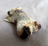 Native American Zuni Antler Adorable Pig w/ Rocks Fetish by Ruben Najera C4125