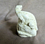 Native Zuni Fossilized Stone Lizard Fetish Carving by Scott Garnaat C3810