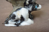 Zuni Museum Quality Zebra Marble Buffalo & Bear Clan Fetish by Herb Him Sr. 2858