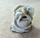 Native Zuni Amazing Antler Iguana Lizard Fetish Carving by Lewis Malie   C3958
