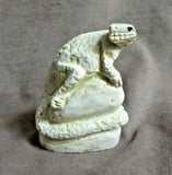 Native Zuni Fossilized Stone Lizard Fetish Carving by Scott Garnaat C3810