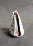 Native Zuni Shell Tableta Maiden Carving Fetish  By Carl Etsate C4209