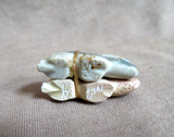 Zuni Multi-stone Mini Rabbit Unity Duo Fetish Carving by LaVies Natewa C4635