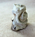 Native Zuni Amazing Antler Iguana Lizard Fetish Carving by Lewis Malie   C3958