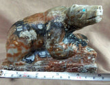 Zuni HUGE Museum Quality Picasso Marble Bear on Pueblo by Herbert Him Sr C-01