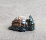 Zuni Black Marble & Shell Armadillo Fetish Carving by Darrin Boone  C4504
