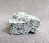 Rare Native Zuni Jasper Eagle Fetish Carving by Lane Vacit C4494