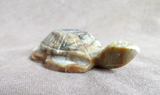 Native Zuni Picasso Marble Turtle Fetish Carving by Kenny Chavez - C4593