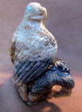 Zuni Amazing LARGE Picasso Marble Eagle w/ Chicks by Derrick Kaamasee C0267