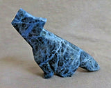 Native Zuni Sodalite Coyote Fetish w triple heartline by Kenric Laiwakete C3612