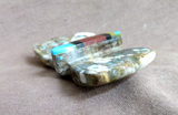 Native Zuni Jasper Butterfly Fetish Carving w Inlay by Brandon Phillips - C4579