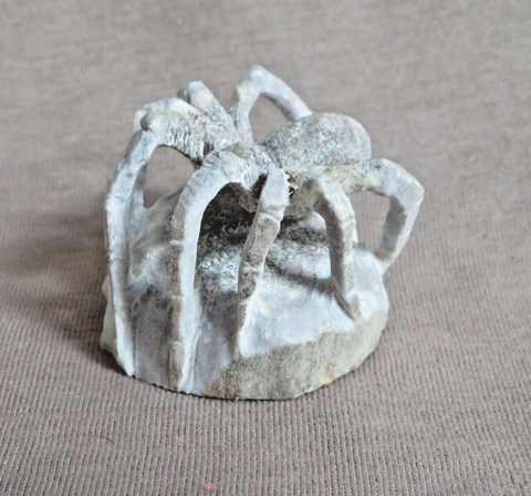 Native Zuni Antler Spider Fetish Carving by Lewis Malie - C4970