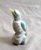 Native Zuni Rock & Turquoise Bird carving fetish by Freddie Leekya C4725