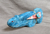 Zuni Blue Apatite Mountain Lion Fetish Carving by Leland Boone/Daphne Quam C4837