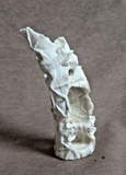 47524937