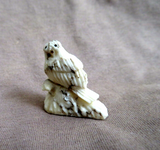 Native Zuni  Jasper Mini Owl Fetish Carving by Ruben Najera C4814