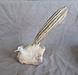 Native Zuni Antler XL Resting Roadrunner Fetish Carving by Ruben Najera C4893