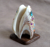Zuni Shell Double Corn Maiden Fetish Carving w Sunface by Darrin Boone C4825