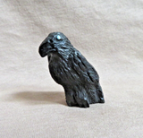 Native Zuni Jet Classic Raven Fetish Carving by Rochelle Quam  C4851