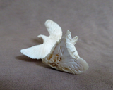Native Zuni Antler Mini Eagle Duo Fetish Carving by Ruben Najera C4739