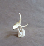 Native Zuni Antler Mini Crane Fetish Carving by Ruben Najera C4676