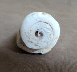 Native Zuni Shell Tableta Maiden Carving Fetish  By Carl Etsate C4209