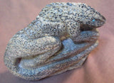 Zuni Amazing LARGE Serpentine Lizard on Rock by Derrick Kaamasee C0328