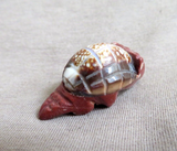 Zuni Pipestone & Shell Armadillo Fetish Carving by Darrin Boone  C4501