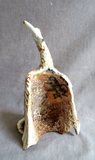 Native  Zuni Antler Huge Turkey Fetish Carving by Ruben Najera C4260
