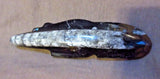 Zuni Gorgeous Large Fossilized Stone Bear Fetish by Bernard Laiwekete C1458
