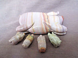 Native Zuni Dolomite Pig & Piglets Fetish Carving by Stanton Hannaweeke C1771
