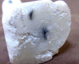 Zuni Amazing White Marble Snowy Owl by Master Carver Derrick Kaamasee C0652
