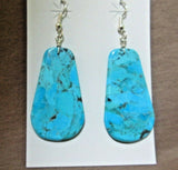 Santo Domingo Stunning Blue Turquoise Slab Hook Earring by Lupe Lovato JE454