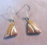 Zuni Agate & Sterling Silver Dangles Hook Earrings by RC JE0012