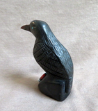 Native Zuni Large Jet  Raven w/ Sunface Fetish by Darrin Boone  C4231