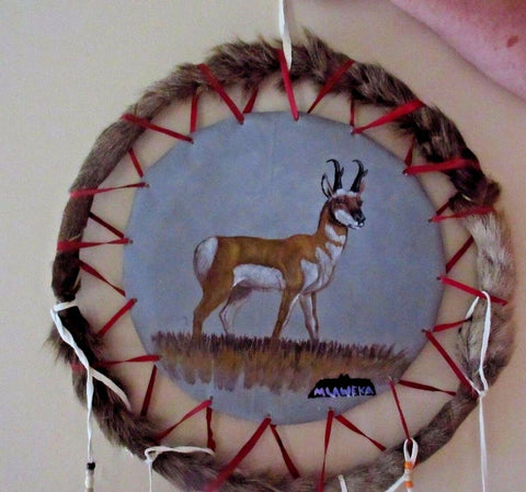 Native Zuni Hand Made & Painted Antelope Shield by Mike LaWeka  HP0042
