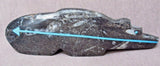 Zuni Gorgeous Large Fossilized Stone Bear Fetish by Bernard Laiwekete C1649