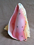 Zuni Museum Quality Conch Shell Corn Maidens Fetish by Stuart Quandelacy C2894