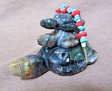 Native Zuni Picasso Marble Turtle Family w Bundle Fetish by Ed Lementino  C2294