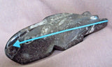 Zuni Gorgeous Large Fossilized Stone Bear Fetish by Bernard Laiwekete C1649