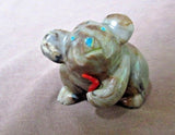 Native Zuni Picasso Marble Adorable Koala Bear fetish by Enrike Leekya C2324
