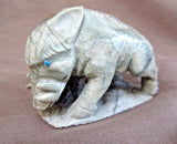 Zuni Amazing Picasso Marble Warthog & Baby Fetish by Derrick Kaamasee C2682
